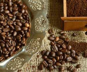 スムージーと珈琲を合わせる時のコツ